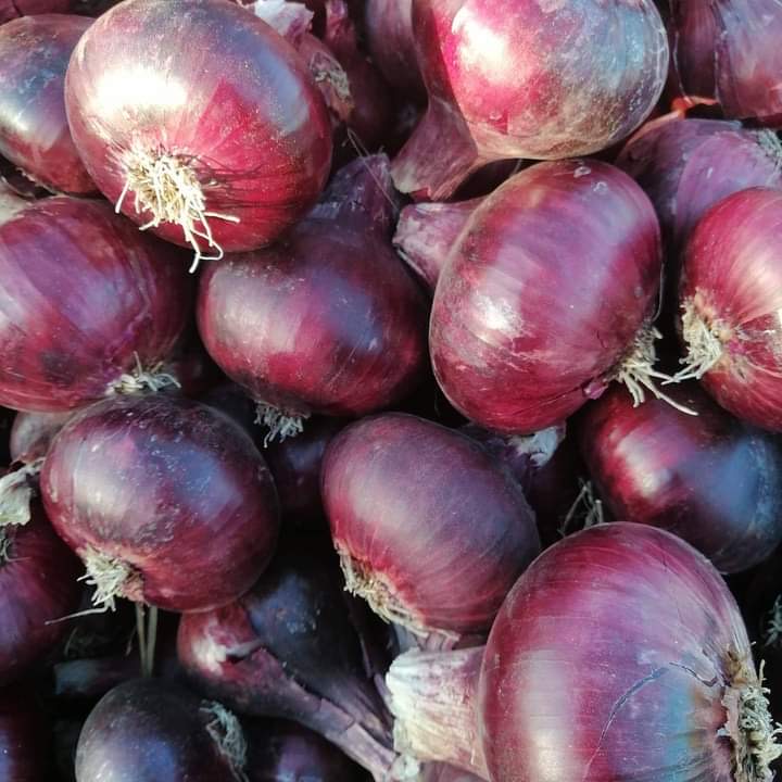 Fresh Onion