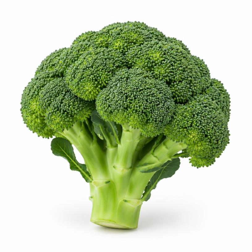 Fresh Broccoli